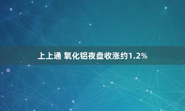 上上通 氧化铝夜盘收涨约1.2%