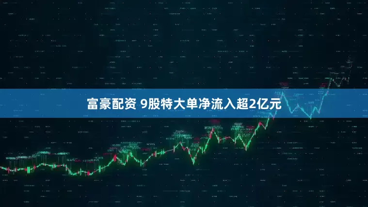 富豪配资 9股特大单净流入超2亿元